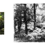 Offenes Atelier - Lissy Winterhoff