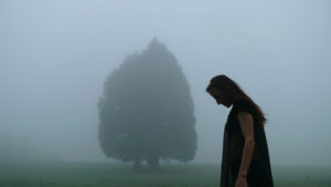 Der Baum von Kleinschönach